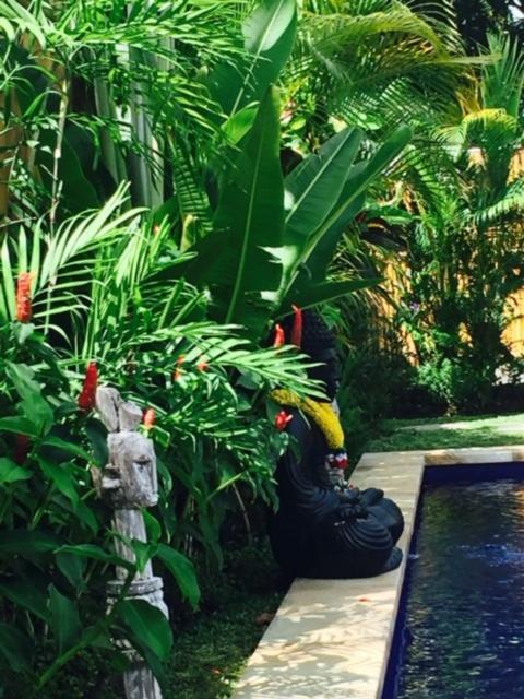 Kayu Bali Hotel Canggu Buitenkant foto