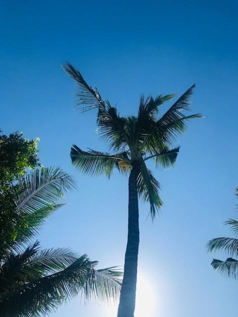 Kayu Bali Hotel Canggu Buitenkant foto