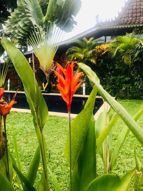 Kayu Bali Hotel Canggu Buitenkant foto